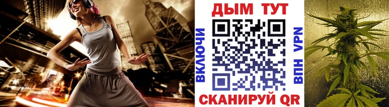 Купить где  Карабаново  Марихуана сатива 
